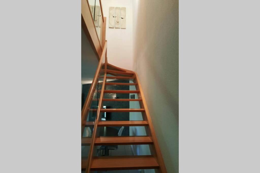 Superbe Duplex Au Nouveau Bassin Avec Vue Superbe Mulhouse Bagian luar foto