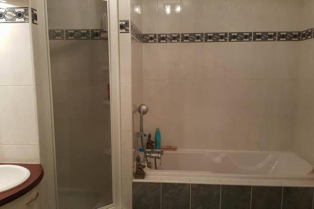Superbe Duplex Au Nouveau Bassin Avec Vue Superbe Mulhouse Bagian luar foto